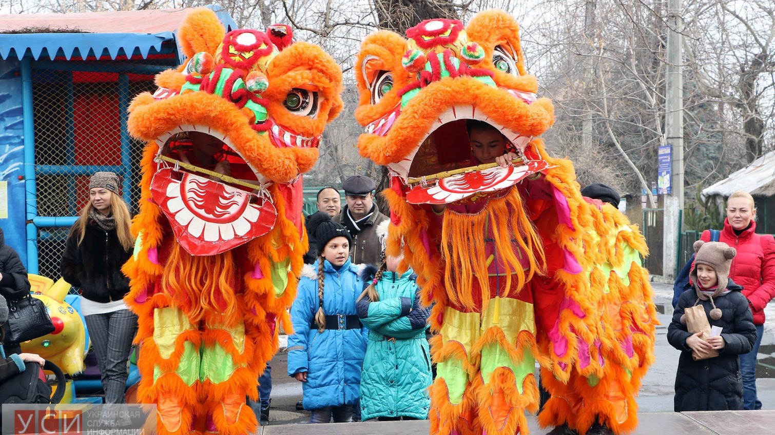 Огненные петухи и драконы: китайская диаспора провела праздник Весны в Одесском зоопарке (фото) «фото»