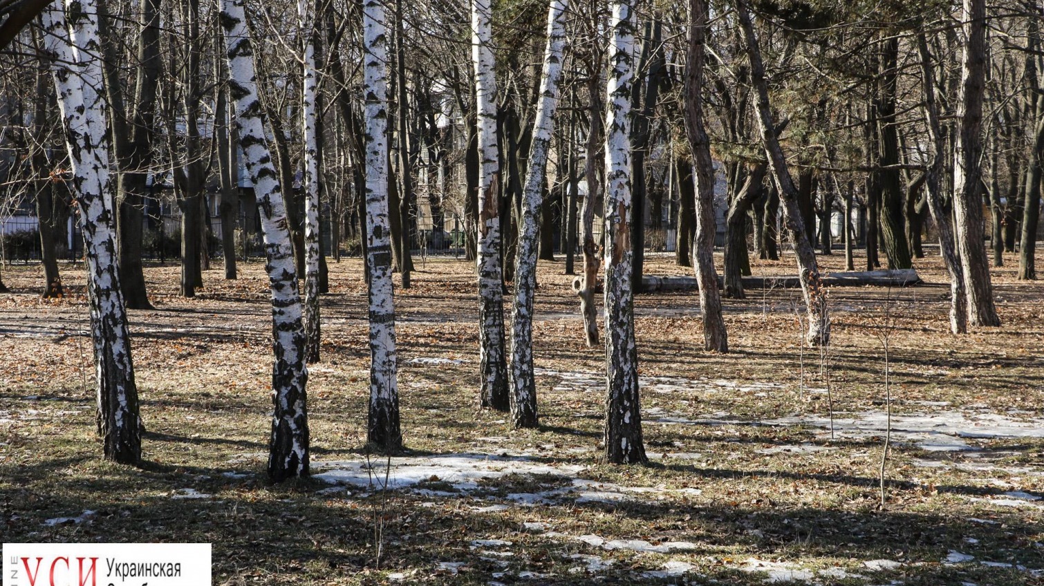 Две недели до весны: Одесса встретила первые теплые дни (фоторепортаж) «фото»