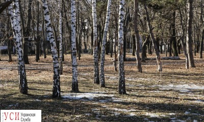 Две недели до весны: Одесса встретила первые теплые дни (фоторепортаж) usionline.com Две недели до весны: Одесса встретила первые теплые дни (фоторепортаж) «фото»