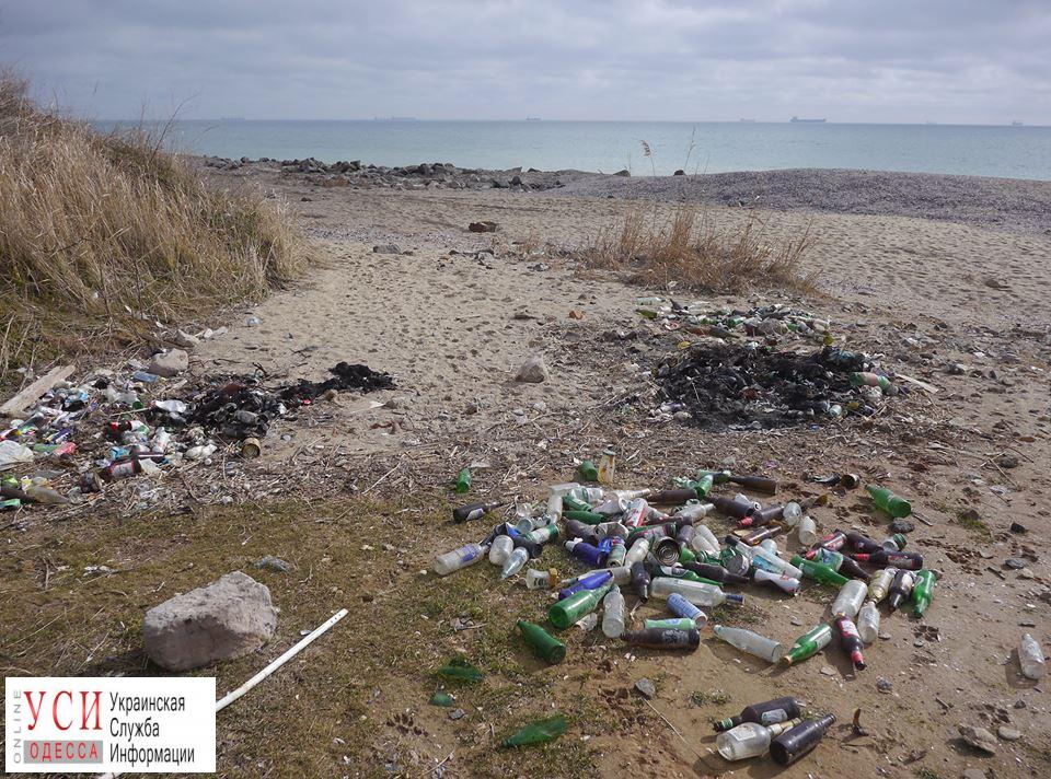 Молодежь Черноморска вышла на уборку пляжа (фото) «фото»