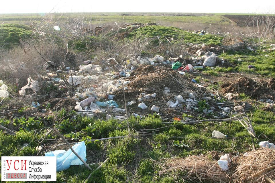 В заповеднике “Тузловские лиманы” появилась свалка бытовых отходов (фото) «фото»
