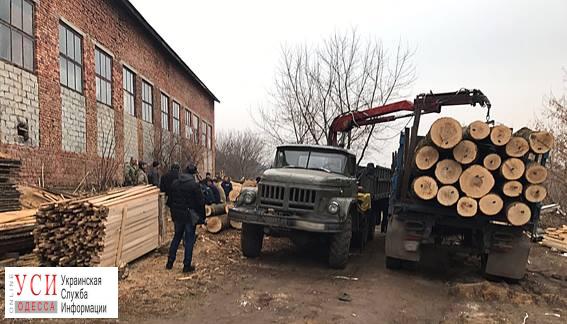 Полицейские разоблачили лесохозяйства, спилившие деревья на 10 миллионов гривен (фото) «фото»
