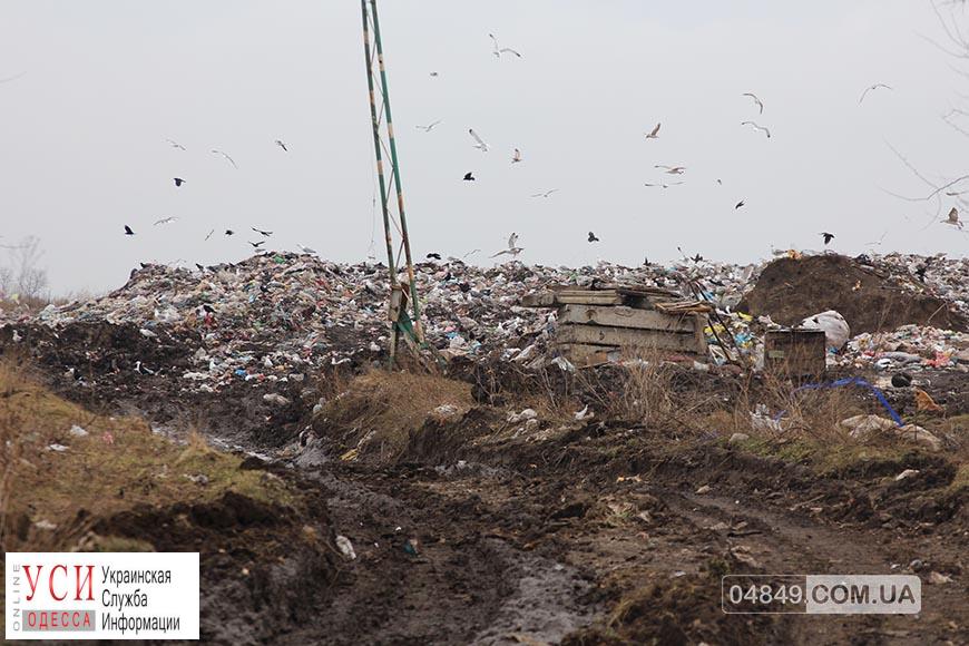 Восемь фур с львовским мусором обнаружили на проблемной свалке в Одесской области (фото) «фото»