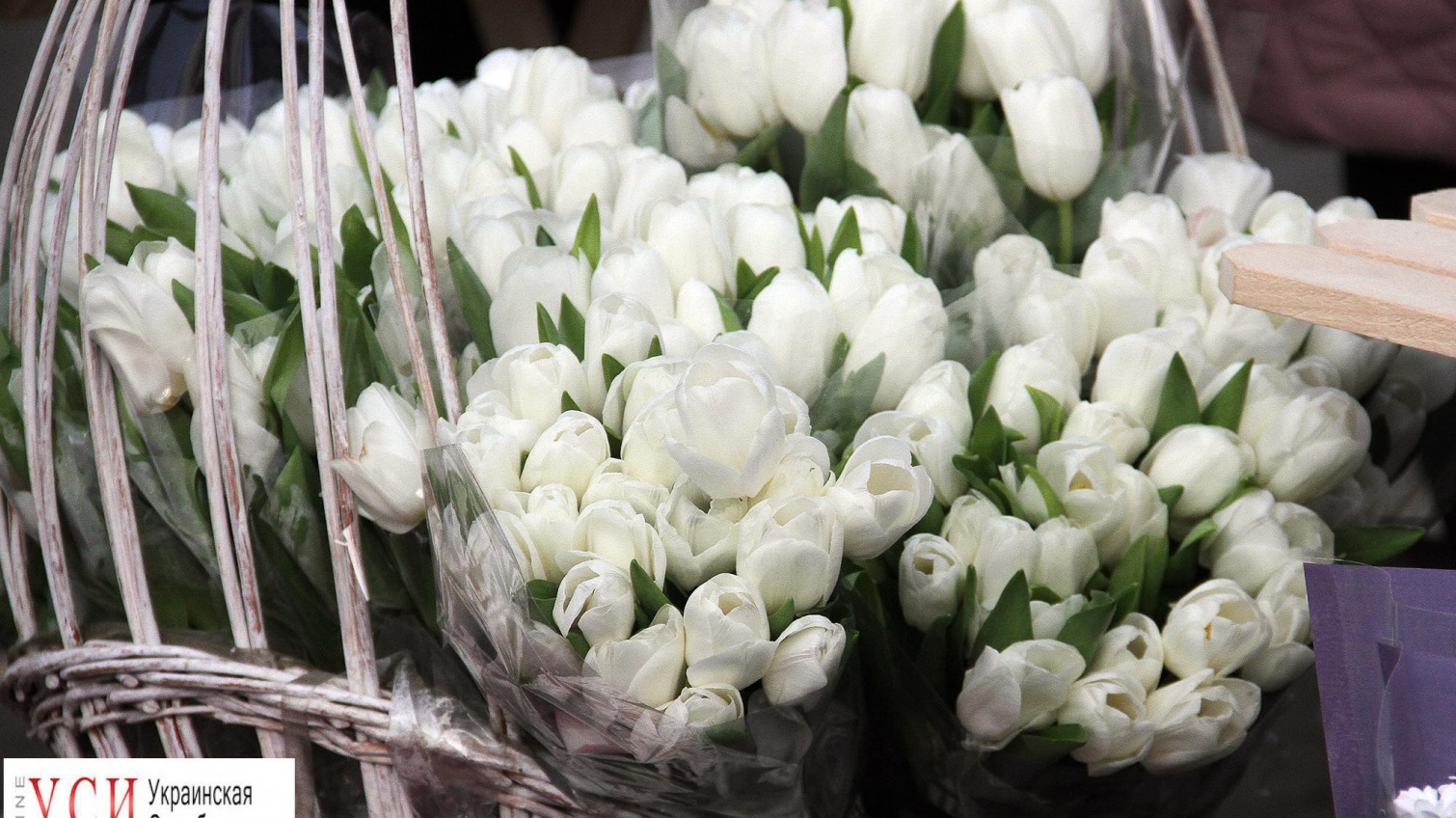 Цены на цветы в Одессе поднялись в два раза «фото»