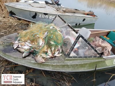 Жителя Одесской области будут судить за вылов рыбы и убийство ондатр (фото) «фото»