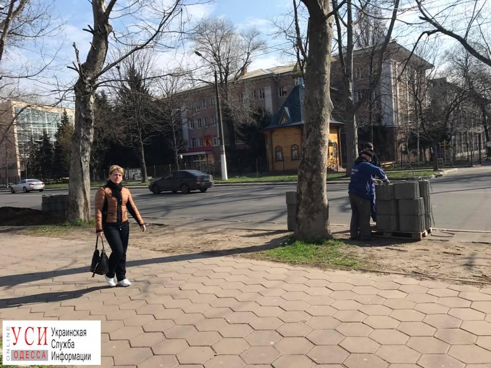 Проспект Шевченко защитили от автохамов, паркующихся на клумбах (фото) «фото»