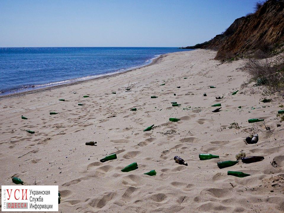 В Пасхальное воскресенье черноморские активисты убрали пляж (фото) «фото»