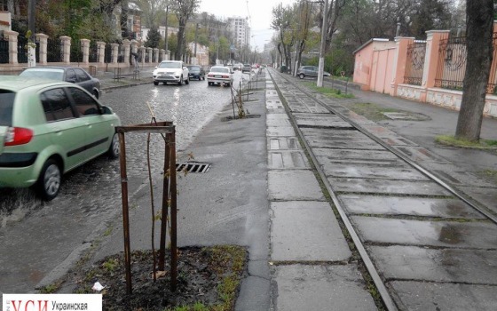 Уничтожившего деревья на Французском бульваре вандала сняли на камеру (видео) «фото»