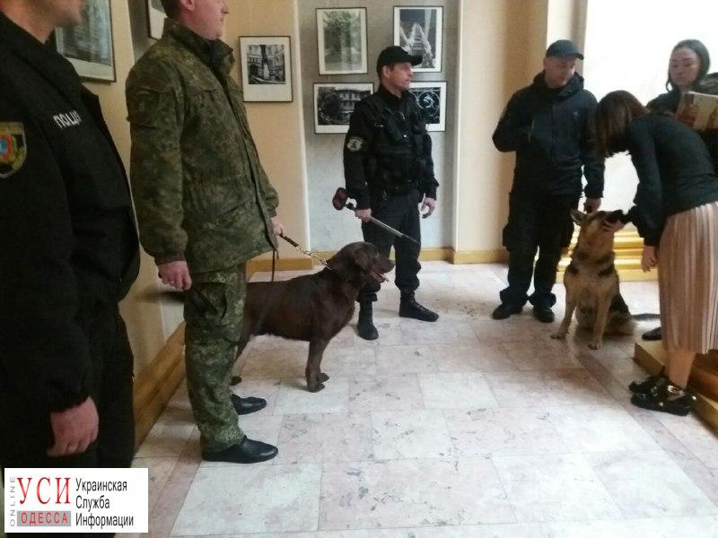 Одесса: депутаты разрешили взрывотехникам обыскать здание мэрии «фото»