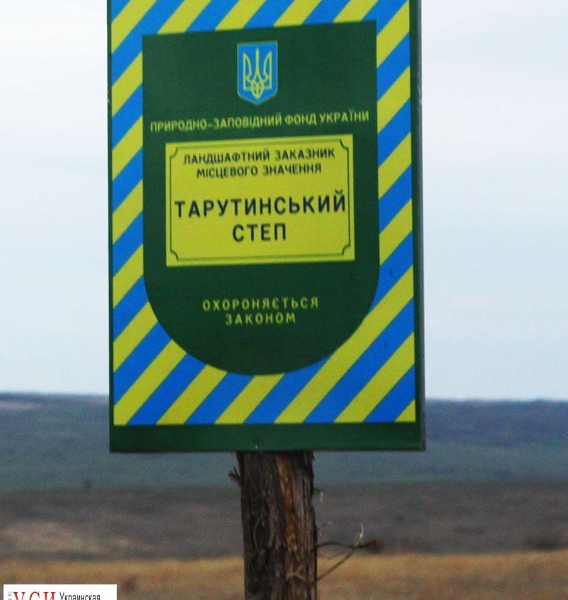 В Одесской области возобновили распашку заповедной степи (фото) «фото»