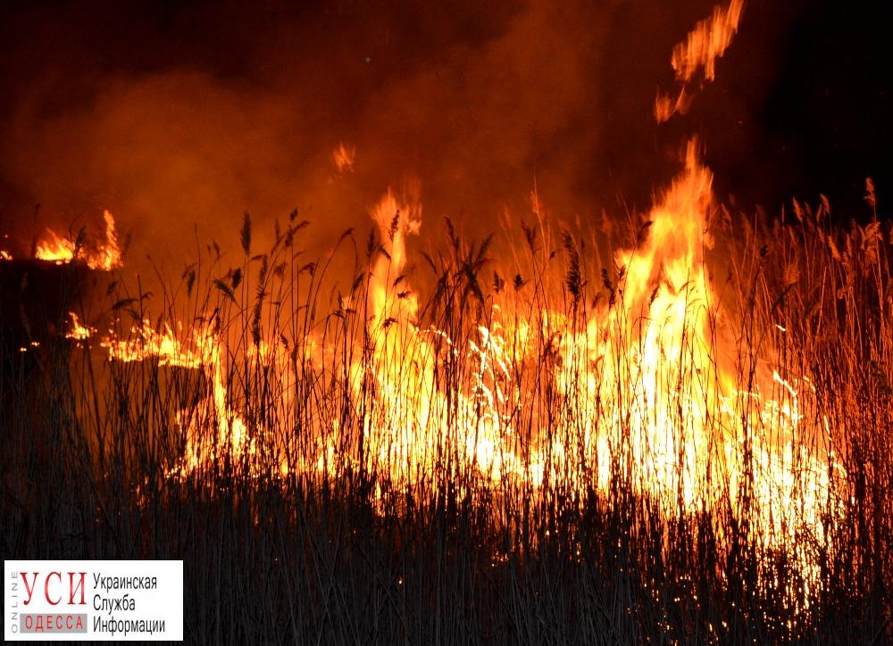 В Одесской области участились пожары: людей просят бережно относиться к природе «фото»