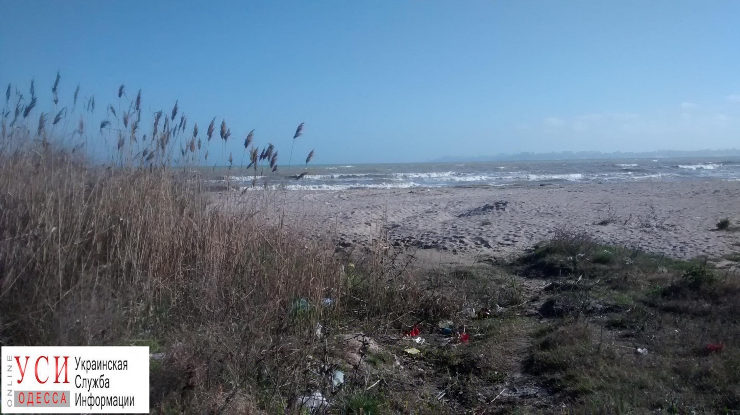 Пляж возле «Молодой гвардии» превратился в территорию сталкеров: отходы сбрасывают прямо в море (фото) «фото»