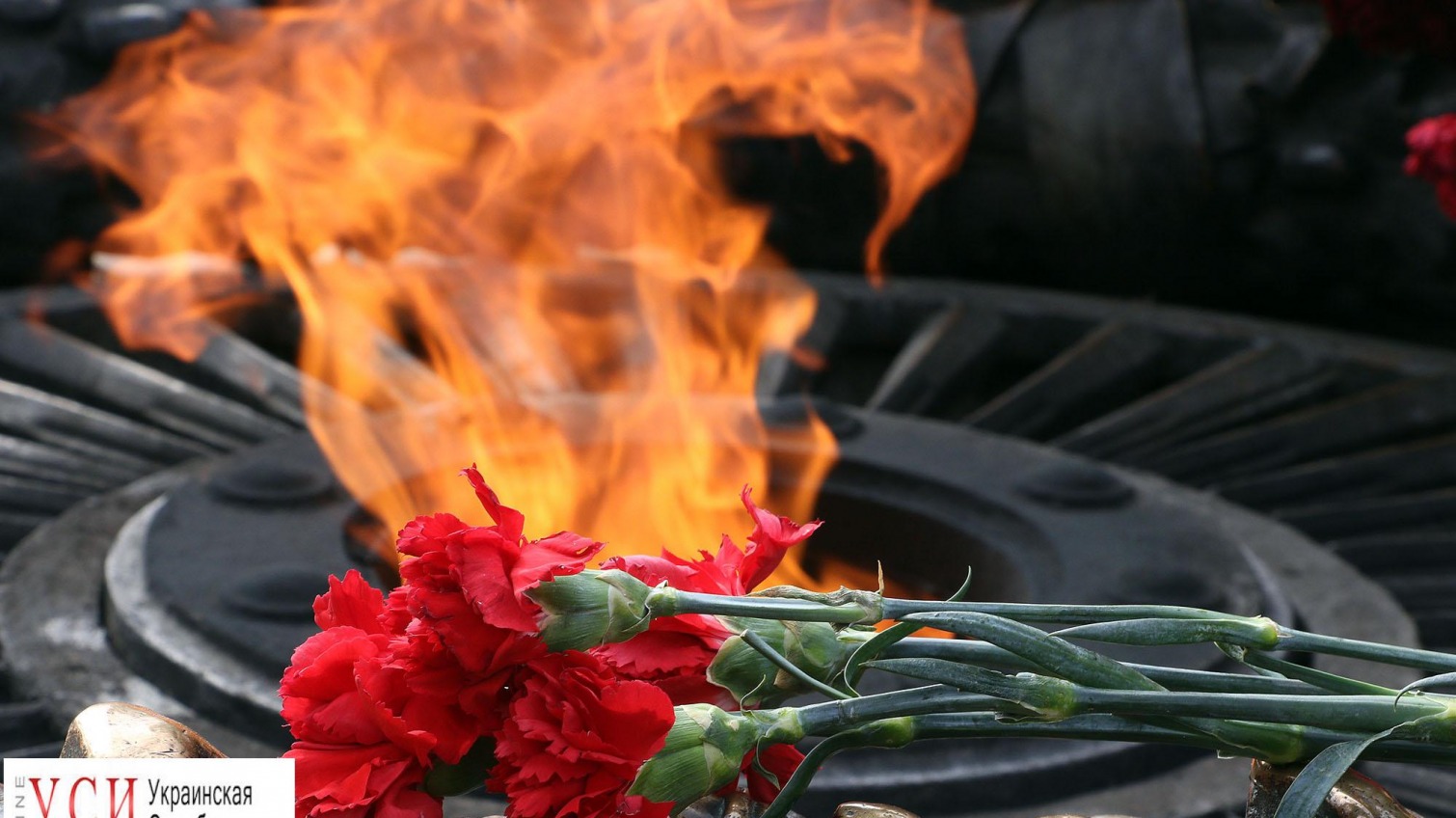 К памятнику Неизвестному матросу возложили цветы (фото) «фото»