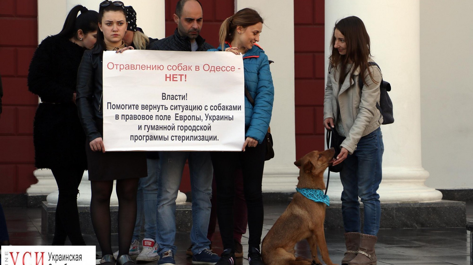 Зоозащитники утром пикетировали одесскую мэрию (фото) «фото»