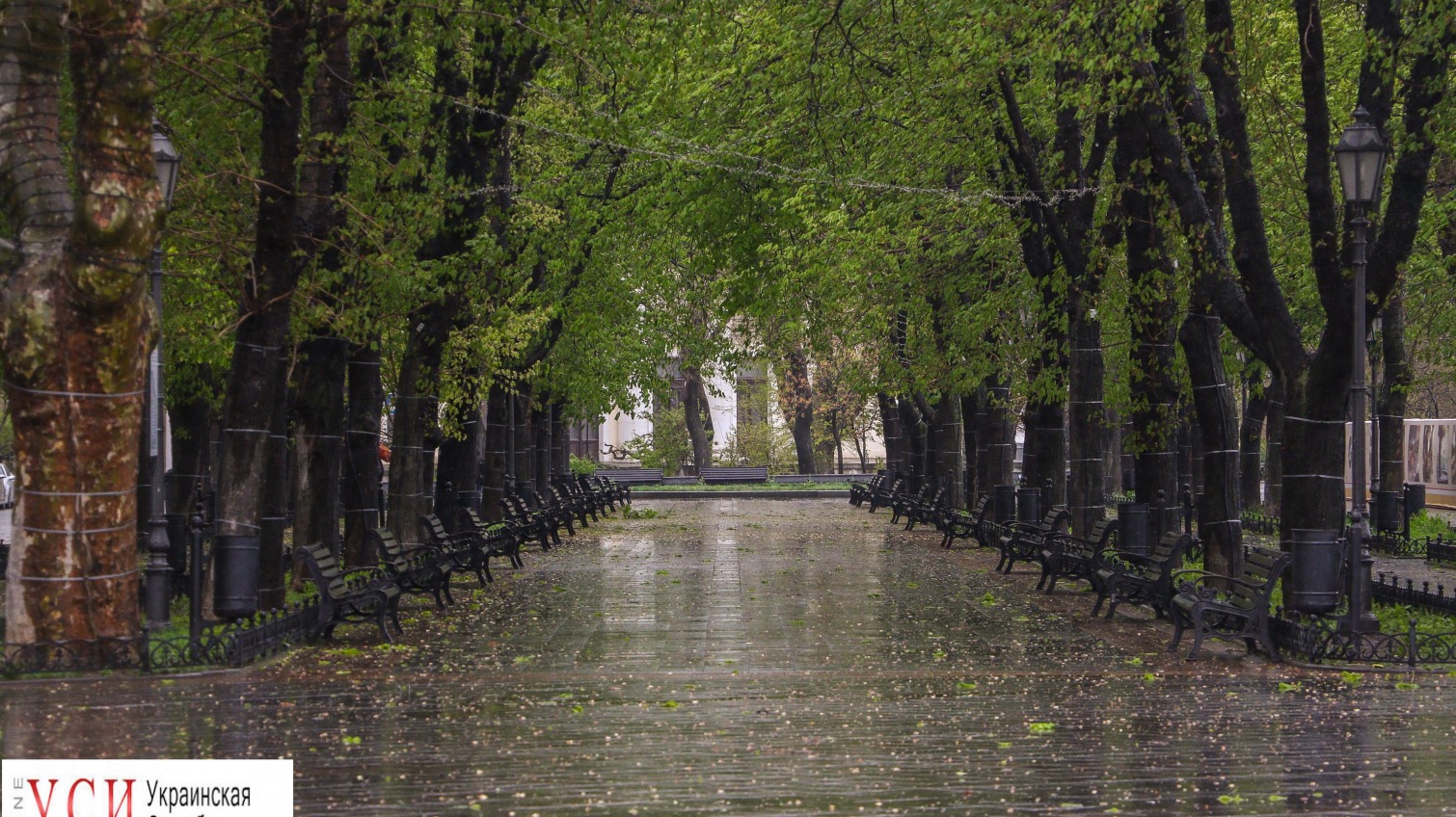 Дождливая Одесса: серые краски и замерзшие горожане посреди весны (фото) «фото»