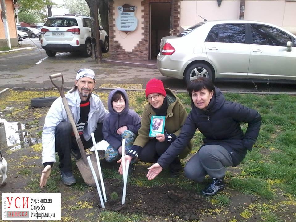 “Цветущий фонтан”: в Одессе волонтеры посадили 77 новых деревьев «фото»