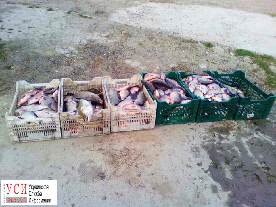 Двое браконьеров выловили почти 200 кг рыбы в озере в Одесской области (фото) «фото»