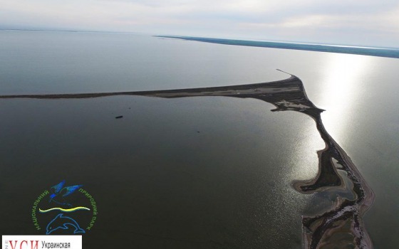 В Одесской области планируют открыть музей соли (фото) «фото»