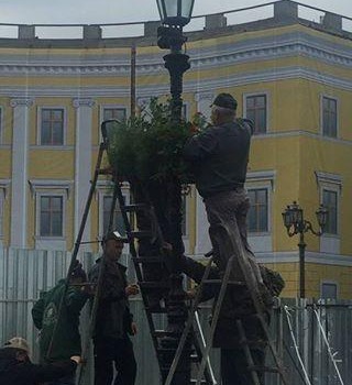 Потемкинскую лестницу впервые украсят цветами: едет президент (фото) «фото»