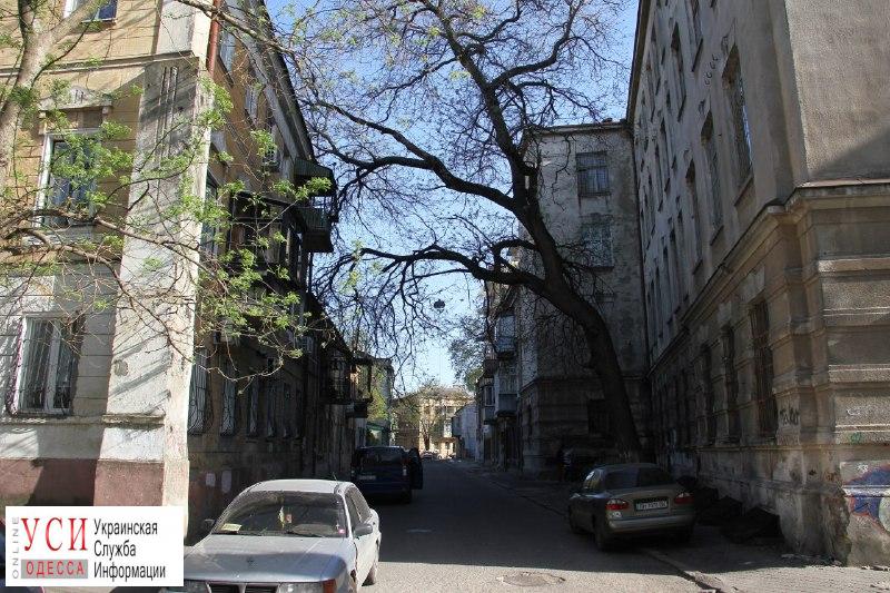 Одесса не туристическая: размеренная жизнь Каретного переулка (фоторепортаж) «фото»