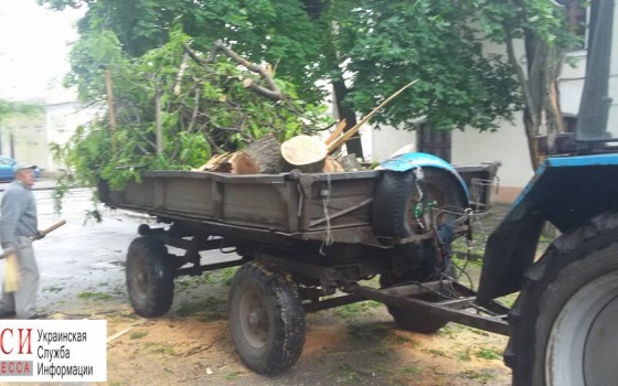 Майский град обесточил центр города «фото»