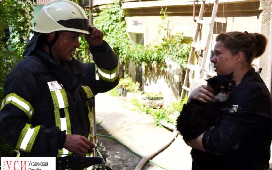 Пожар в Волжском переулке: спасли 5 человек, четыре кота и собаку «фото»