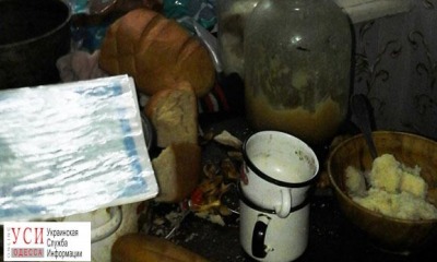 Правоохранители показали условия жизни детей в проблемных семьях (фото) «фото»