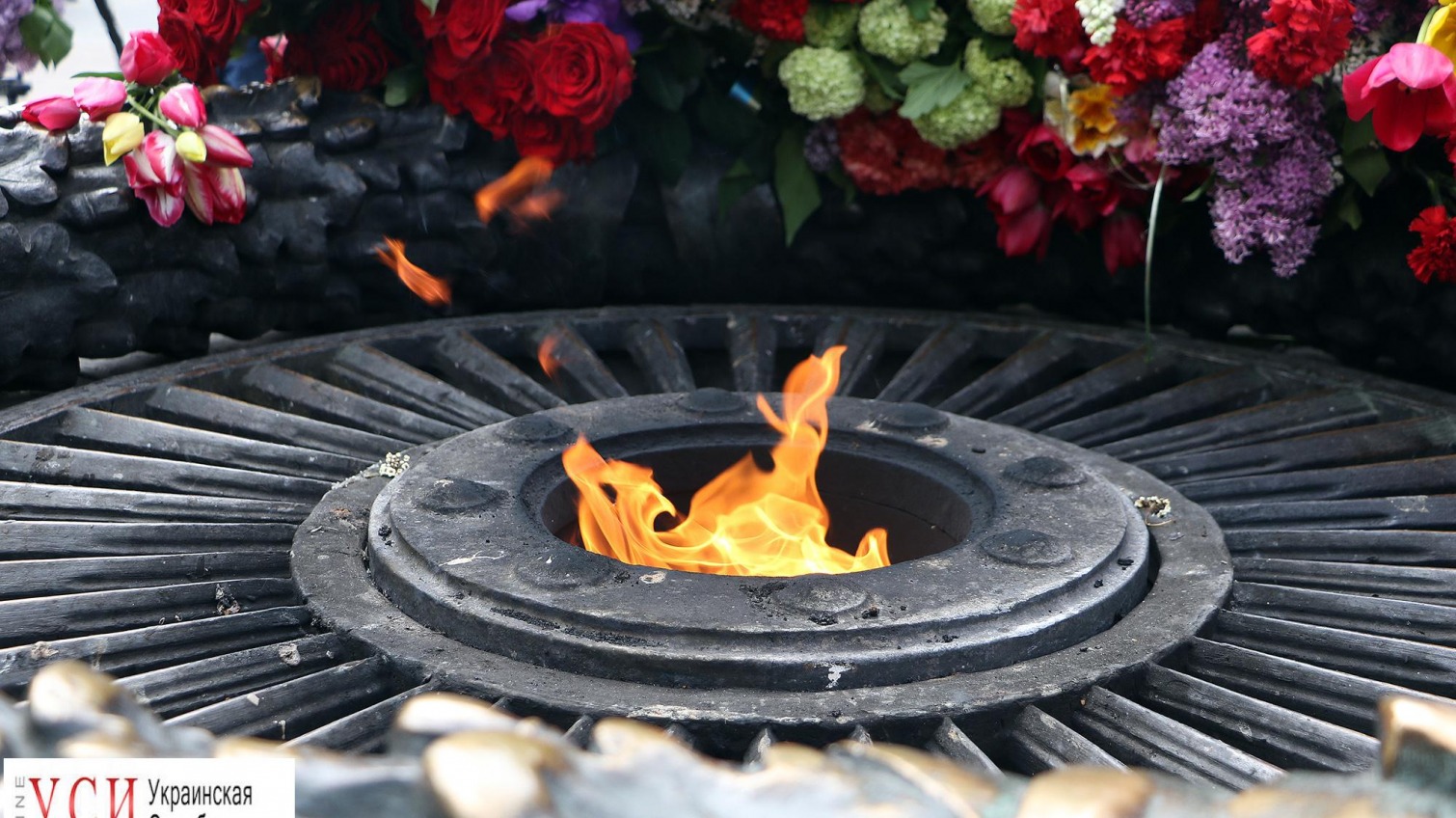8 мая в Одессе: погибших воинов почтили на Аллее Славы и возле ОГА (фоторепортаж) «фото»