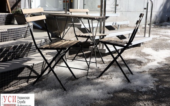 Сезон аллергии: Одессу атаковал тополиный пух (фото) «фото»