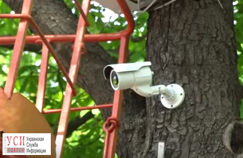 На Соборке прямо в дерево вкрутили видеокамеру и электрощиток (фото) «фото»