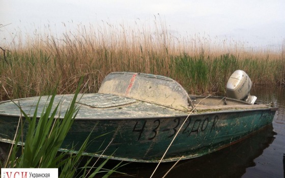 На Черном море задержали браконьеров с краснокнижными севрюгами (фото) «фото»