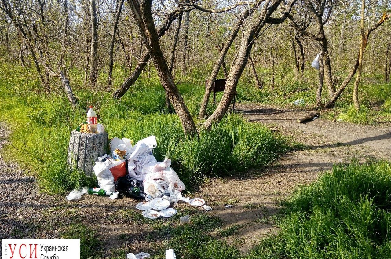 Маевка в Лесках: отдыхающие оставили мешки с мусором (фото) «фото»