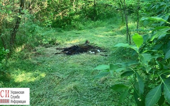 Останки убитой таксистом студентки нашли за “7 километром”, – журналисты (фото) 18+ «фото»