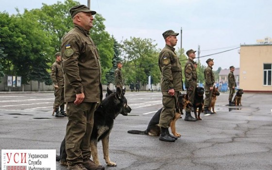В Одессе соревновались военные кинологи (фото) usionline.com В Одессе соревновались военные кинологи (фото) «фото»