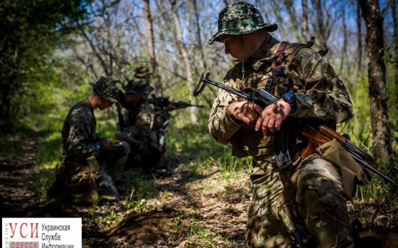 Одесские морпехи провели учения с солдатами НАТО в Румынии (фото) «фото»