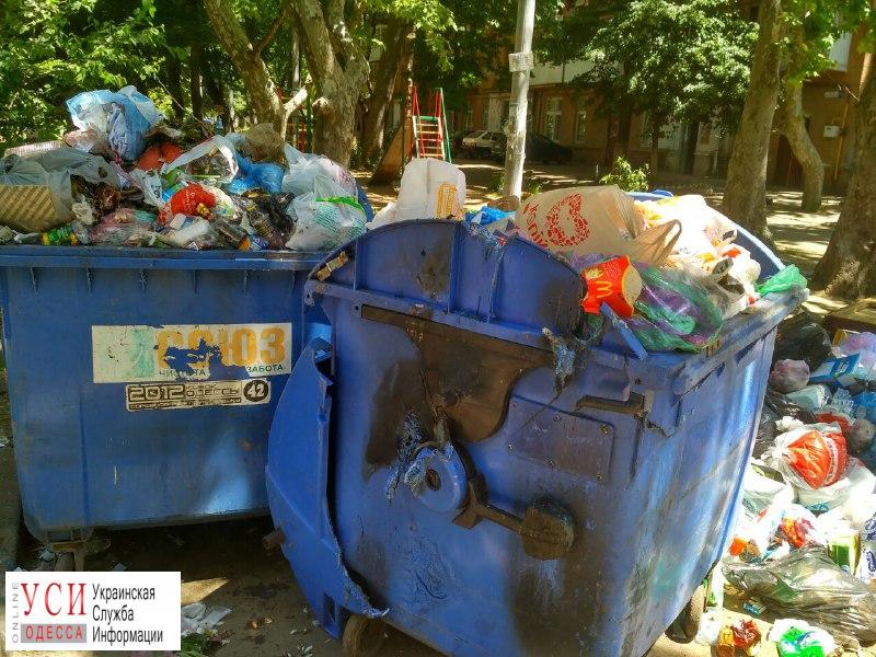 На Варненской образовалась мусорная свалка прямо возле детской площадки (фото) «фото»