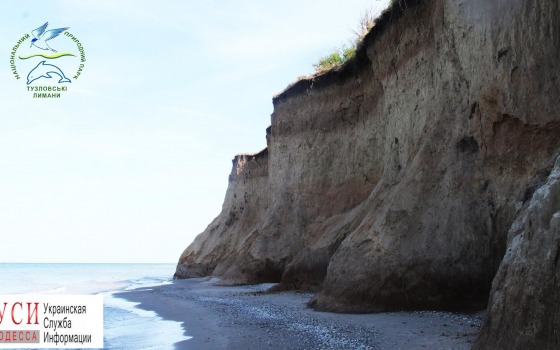 Под Одессой нашли останки мамонта (фото) «фото»