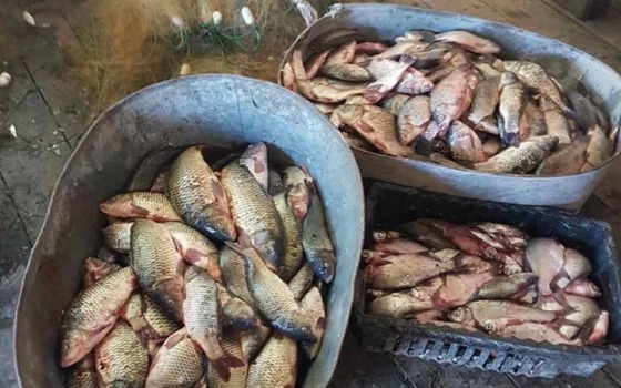 На Днестровском лимане задержали двух браконьеров с сетями (фото) «фото»