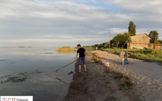 В Шабо люди собственными усилиями расчищают побережье лимана (фото) «фото»
