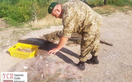 Одесские пограничники задержали браконьеров (фото) «фото»