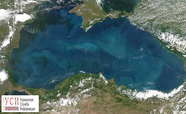 Фото из космоса: у побережья Одессы цветет фитопланктон (фото) «фото»