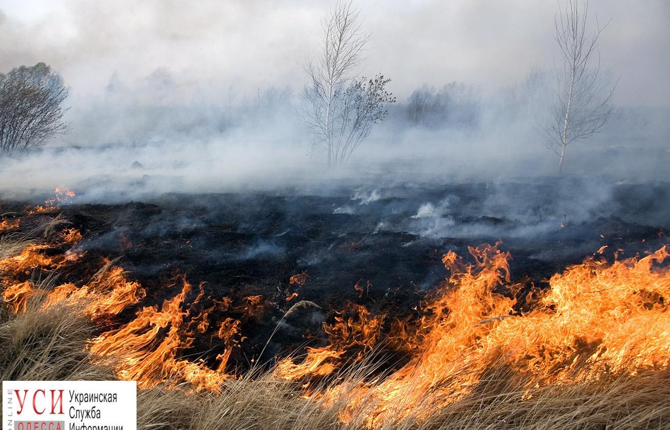 В Одесской области неделю продержится чрезвычайная пожароопасность «фото»