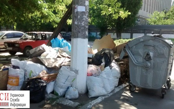 Экскурсия по мусоркам на поселке Котовского (фото) «фото»