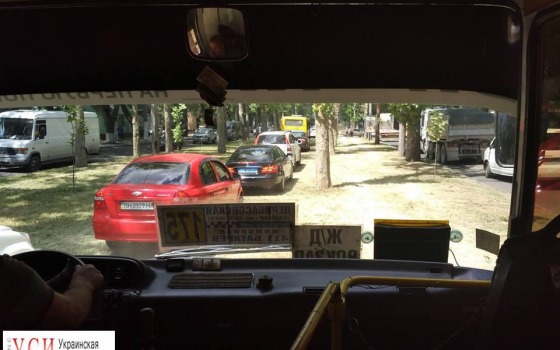 Автомобили поехали по зеленой зоне на Адмиральском проспекте (фото) «фото»