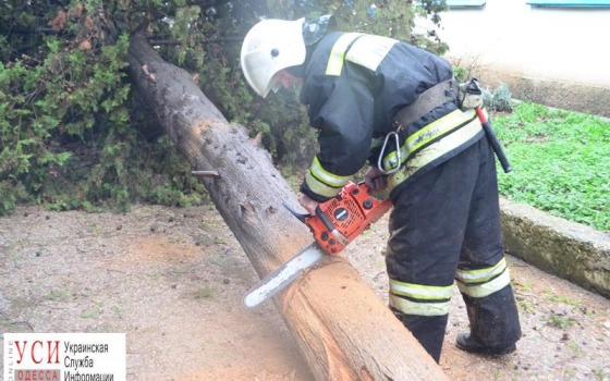 Спасатели ликвидировали последствия непогоды в Одесской области «фото»