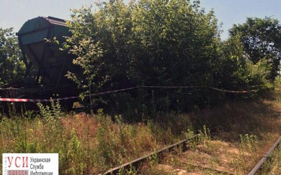 Жестокое убийство: девушку забили черенком от лопаты и изнасиловали на ЖД-путях (фото, видео) «фото»