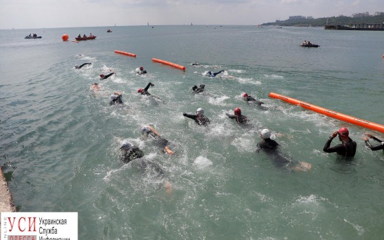 В Одессе прошли массовые заплывы в честь Дня Конституции (фоторепортаж) «фото»
