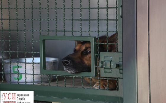 Одесситам показали военную технику и вооружение украинской армии (фоторепортаж) «фото»
