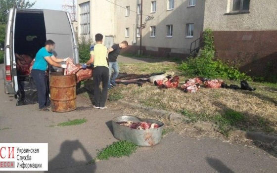 Правоохранители задержали мужчину, который возил в Одессу убитых ворованных коров «фото»