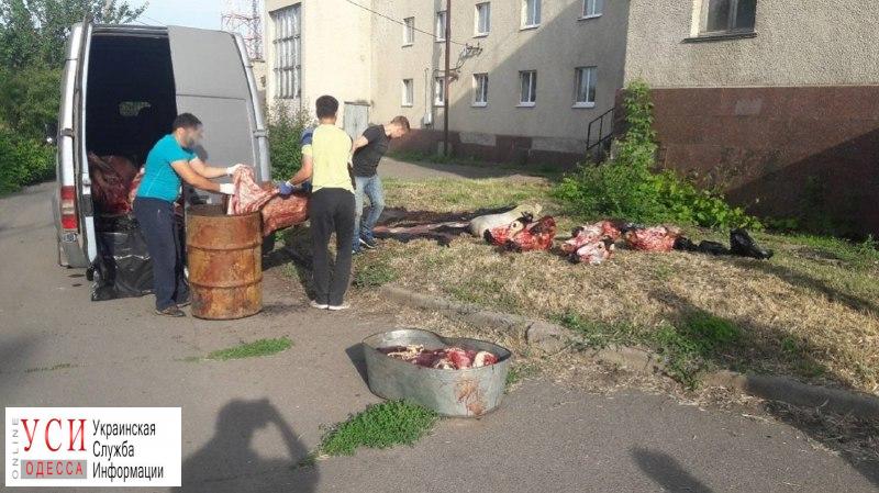 Правоохранители задержали мужчину, который возил в Одессу убитых ворованных коров «фото»
